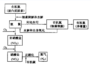 氨氮废水处理公司