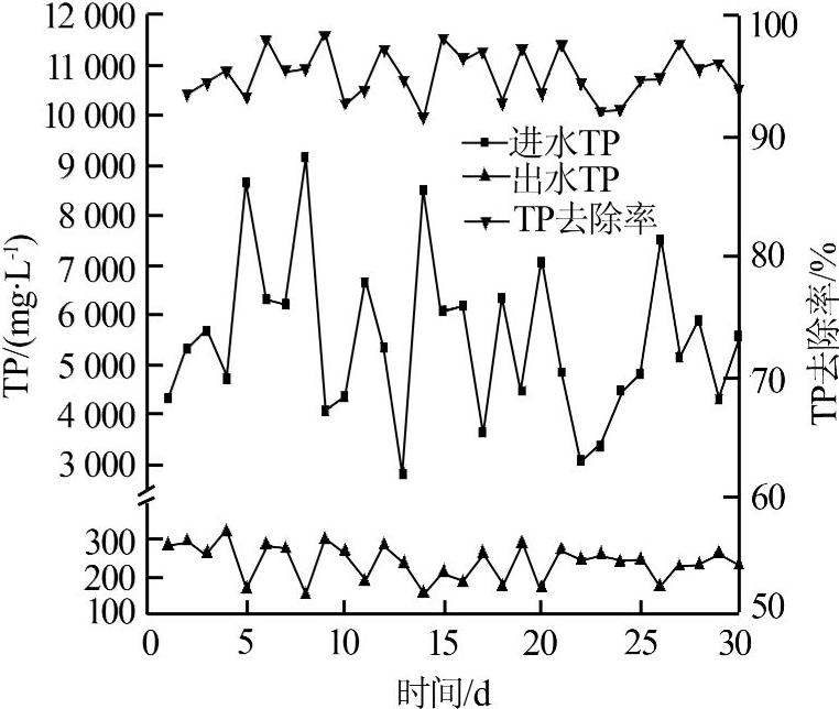 制药氮磷零排放