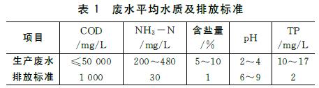 高浓度化工废水处理