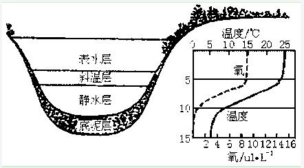 工业循环水处理