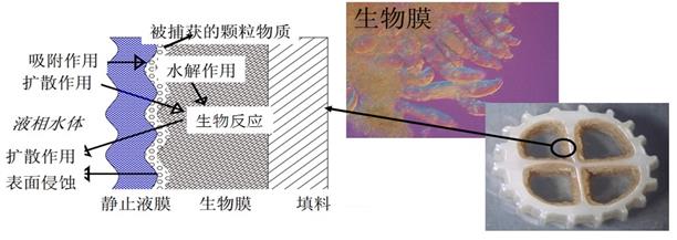 医疗制药废水处理