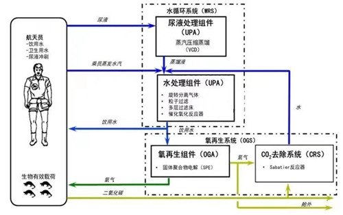 神舟十二号.jpg