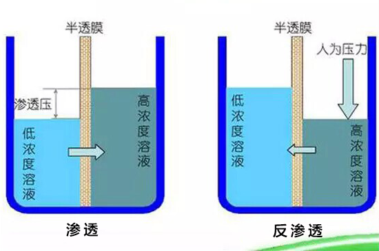 什么是反渗透.png